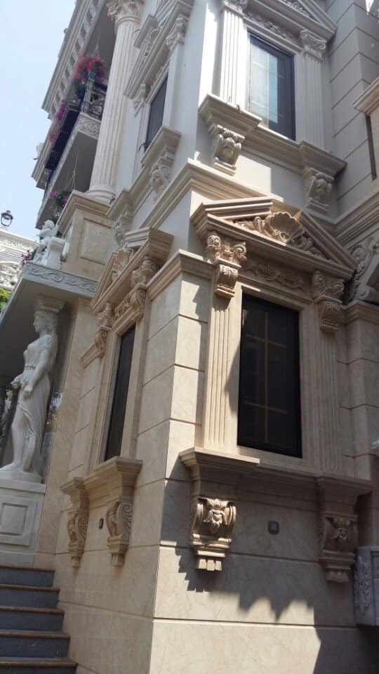 Dự án 19