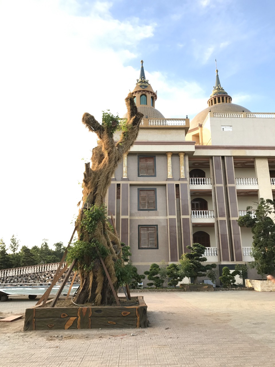 Dự án 25