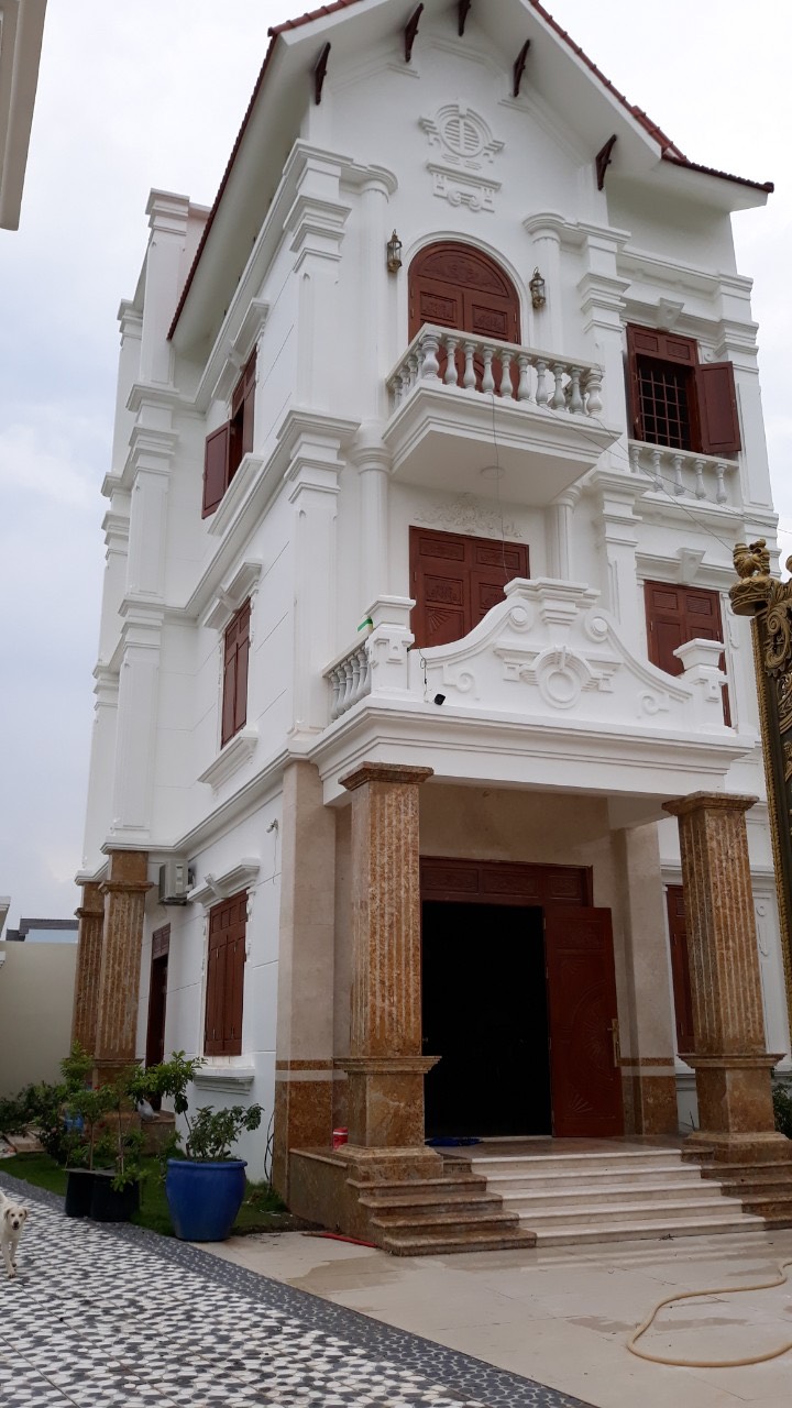 Dự án 07
